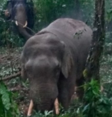 Screenshot_20221211_174716