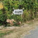 maddikere1