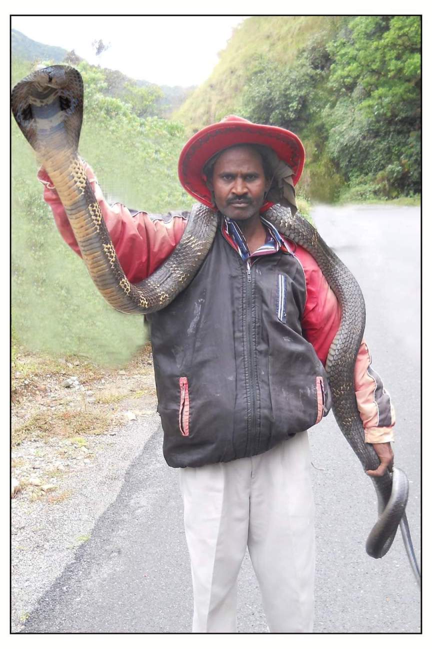 snake naresh 3