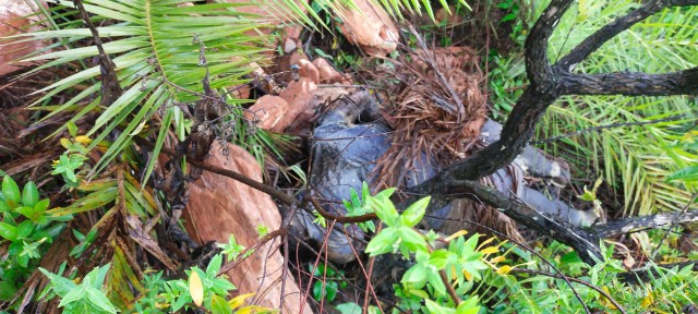 IMG-20230608-WA0042_copy_640x288