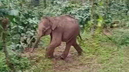 Screenshot_2023-07-30-18-09-27-56_99c04817c0de5652397fc8b56c3b3817_copy_447x250