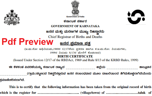 Birth-Certificate-Application-Form-Karnataka