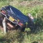 auto palti