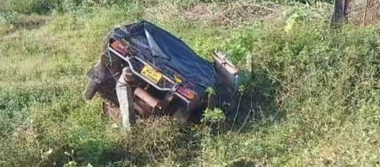 auto palti