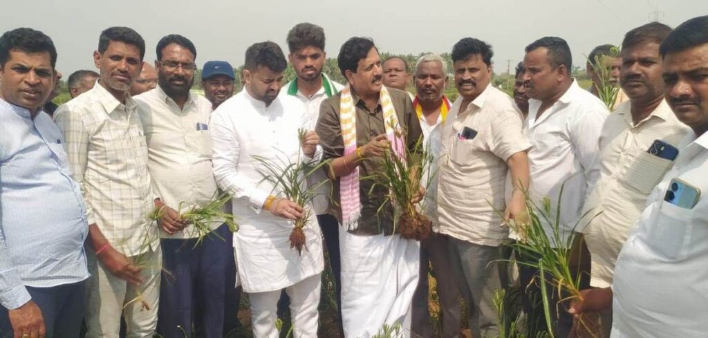 kaduru 2