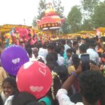 palguni new