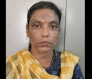 sringeri 22