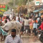 ugadi male
