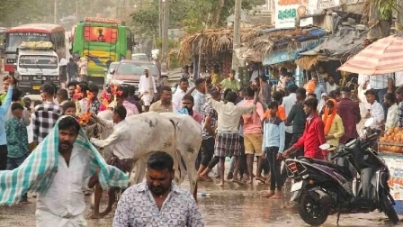 ugadi male