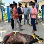 IMG-20240516-WA0035_copy_449x202