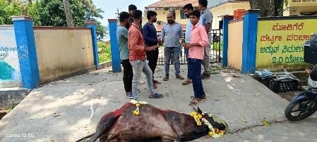 IMG-20240516-WA0035_copy_449x202