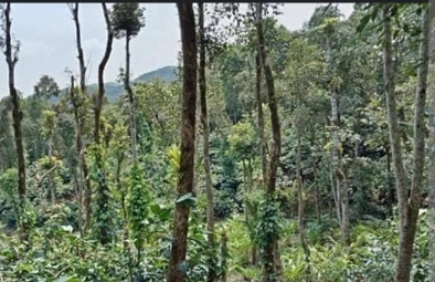 IMG-20240530-WA0016_copy_394x255