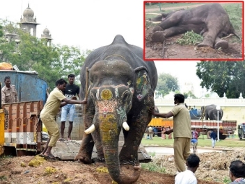 ashvathama