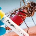 dengue