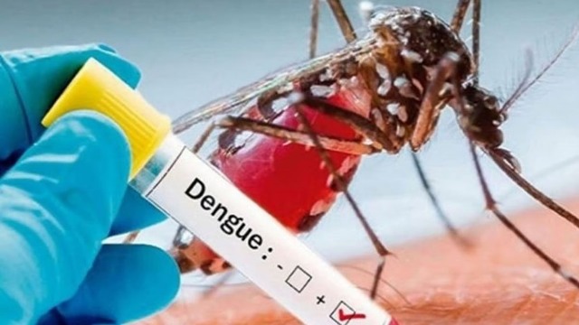 dengue