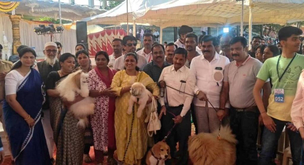 dog show