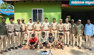 meesalu aranya