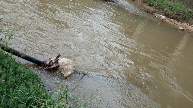IMG-20251123-WA0208