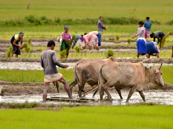 farmers