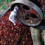 ಸಾಂದರ್ಭಿಕ ಚಿತ್ರ