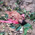 IMG-20260222-WA0023_copy_816x514_1