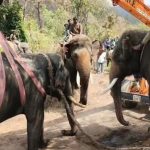 Screenshot_2026-02-23-07-41-24-49_6012fa4d4ddec268fc5c7112cbb265e7_copy_961x561_1