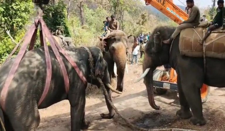 Screenshot_2026-02-23-07-41-24-49_6012fa4d4ddec268fc5c7112cbb265e7_copy_961x561_1