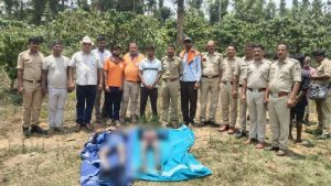 IMG_20260420_054709_copy_530x298