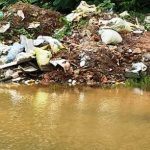 Leed Suddi (3)
