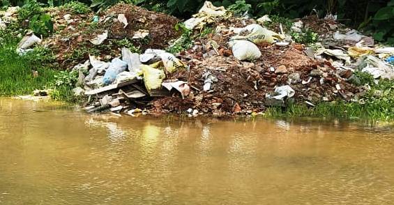 Leed Suddi (3)