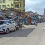 sringeri bandh